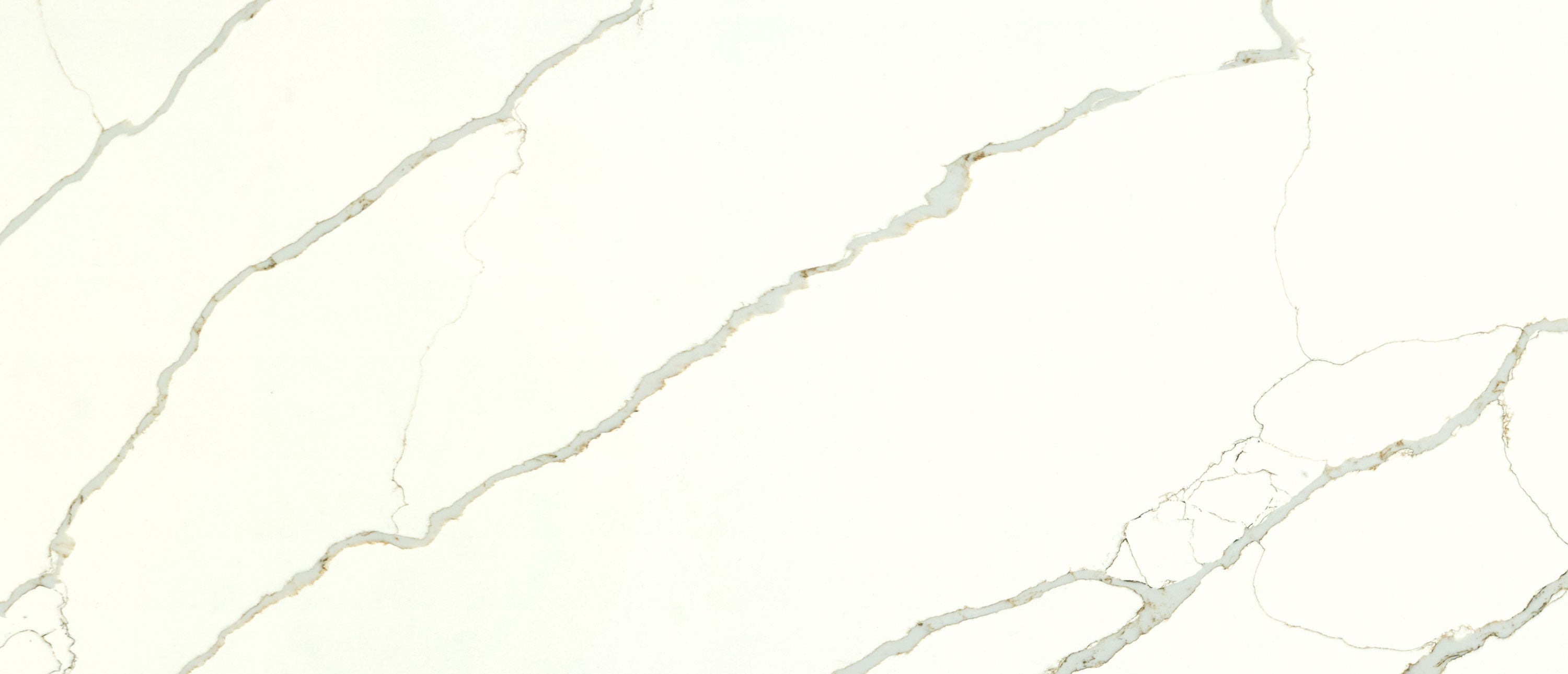 New Calacatta Laza Gold by MSI Surfaces available at Aqua Kitchen