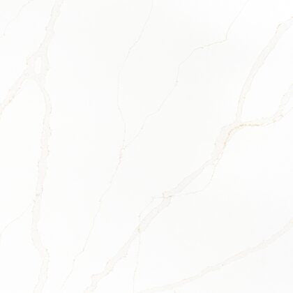 Salora Gold by Pental Quartz available at Aqua Kitchen