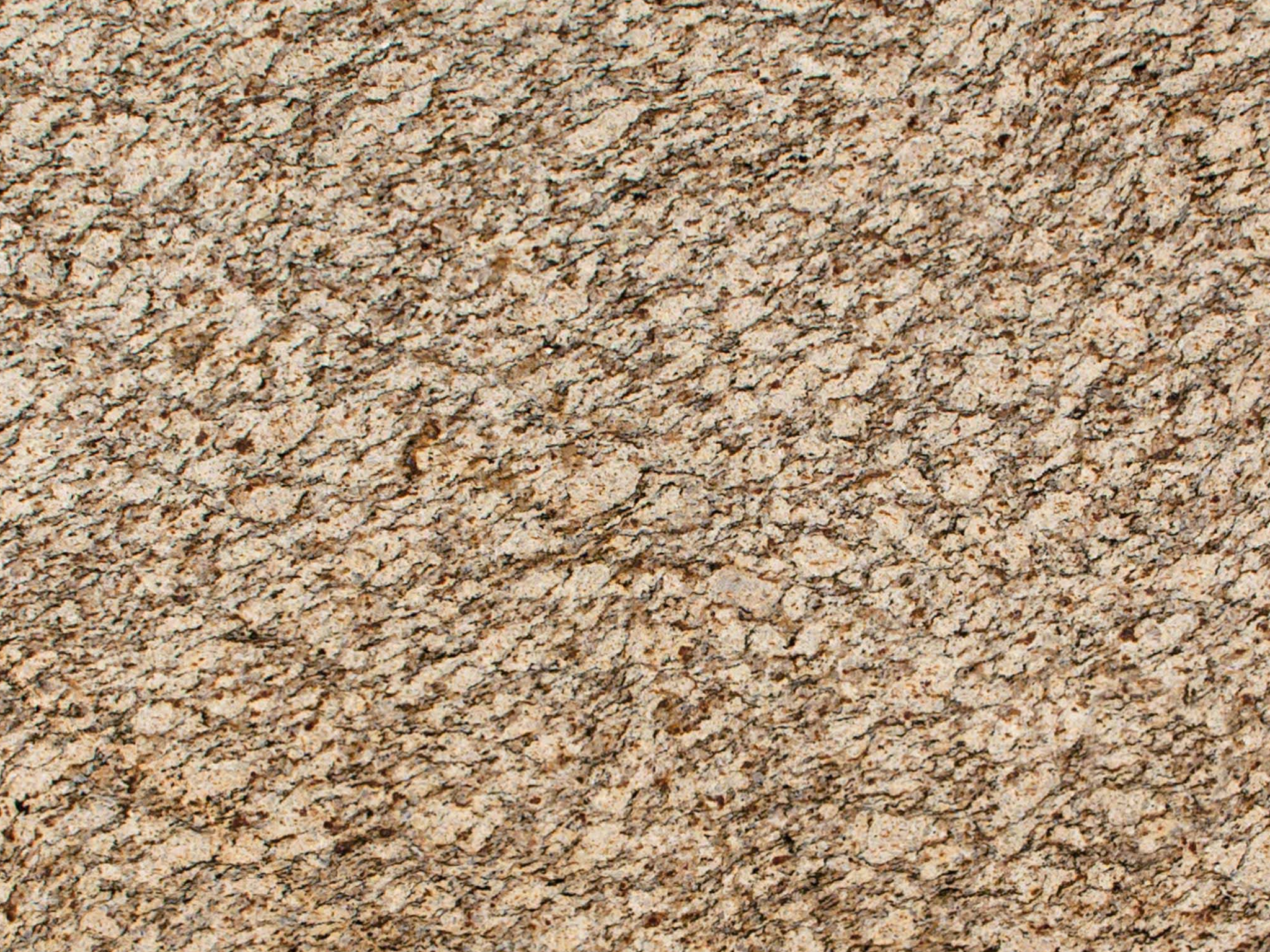 Santa Cecilia Granite Countertop by Aqua Kitchen