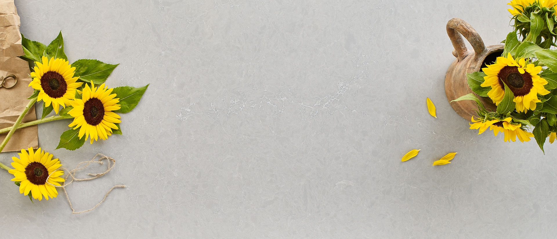 Vena Carbona by MSI Surfaces available at Aqua Kitchen