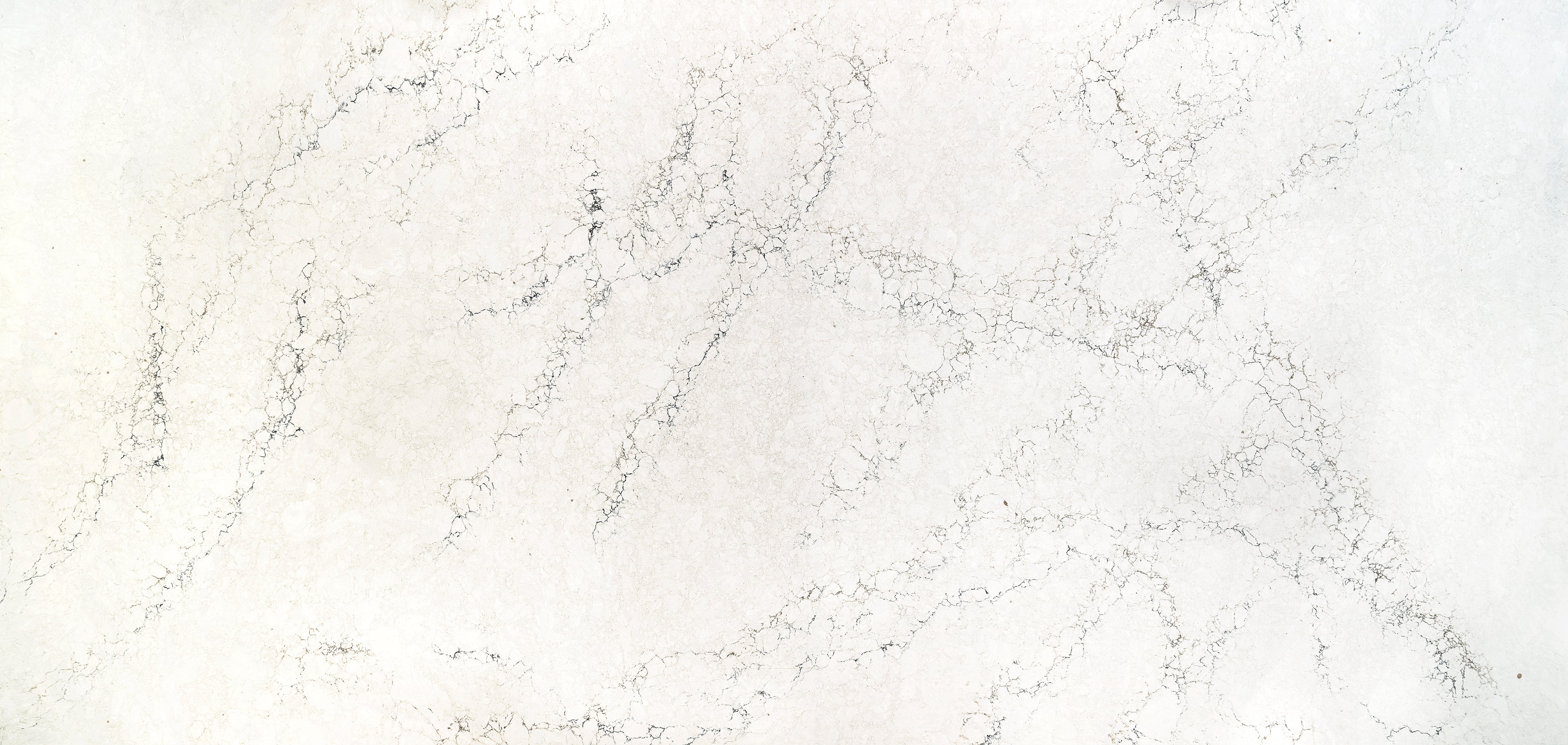 Whitendale™ Quartz Sample by Cambria available at Aqua Kitchen